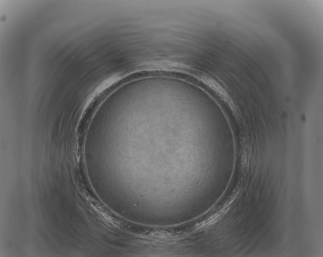X0000083630974200702201337