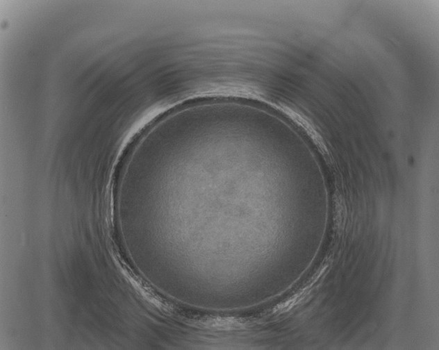 X0000083630982200702201337