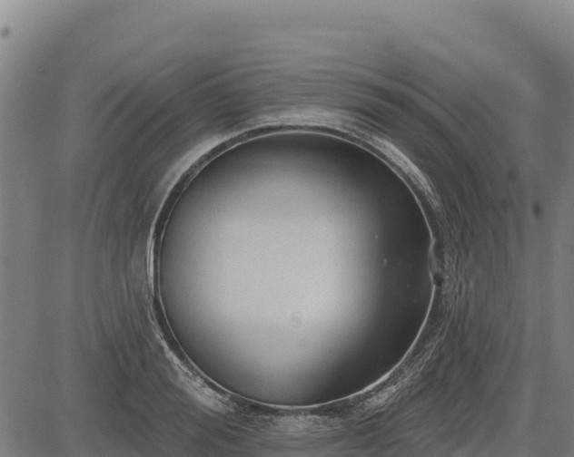 X0000083630988200702201337