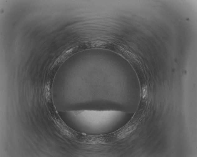 X0000083631011200702201336