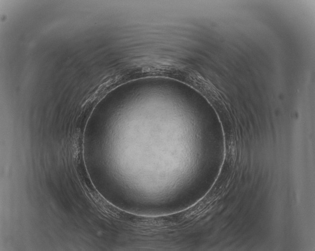 X0000083631012200702201336