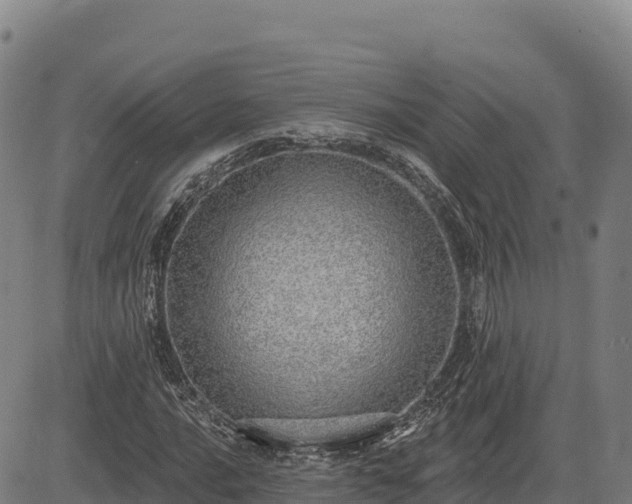 X0000083631016200702201336