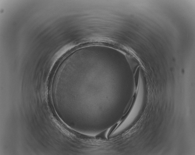 X0000083631024200702201336