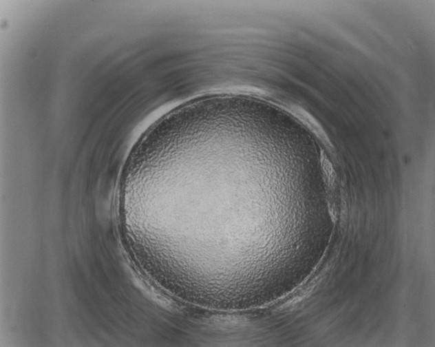 X0000083631044200702201337