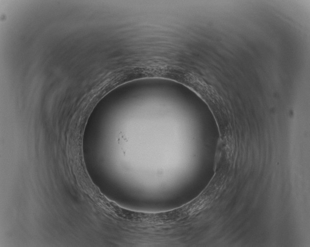 X0000083631057200702201336