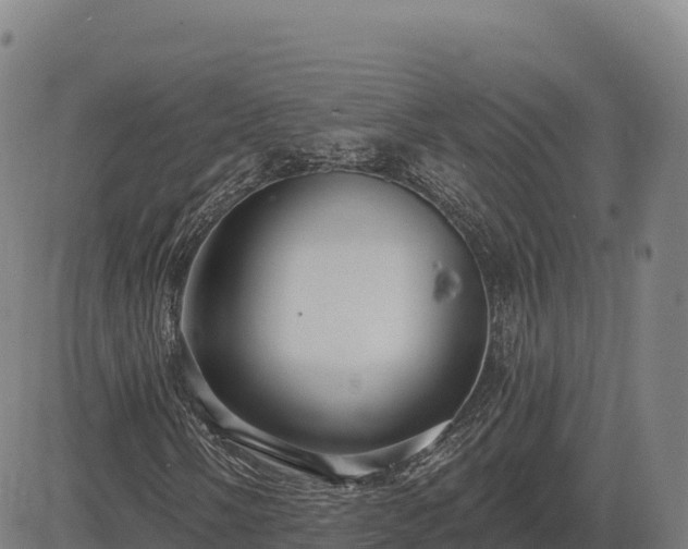 X0000083631058200702201336