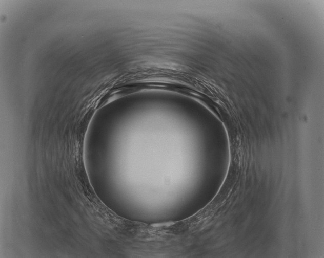 X0000083631061200702201336