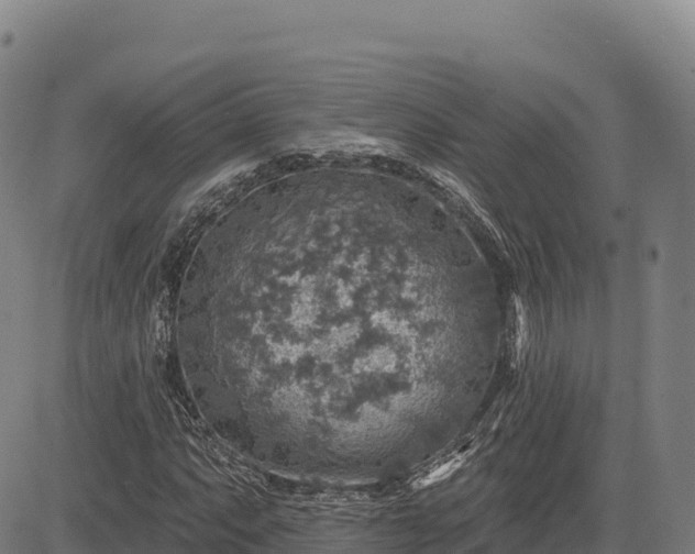 X0000083631063200702201336
