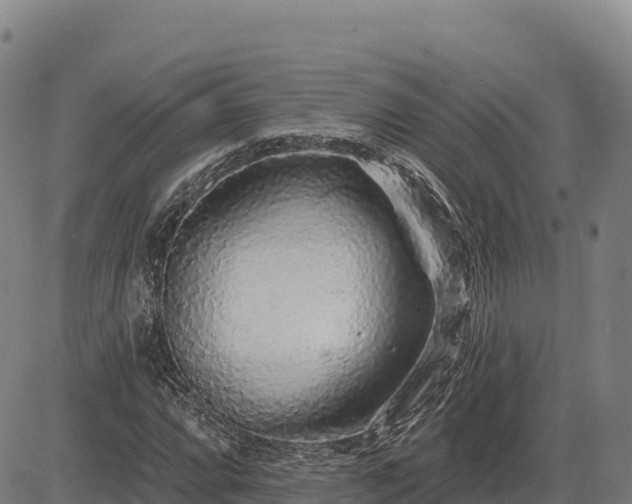 X0000083631064200702201336