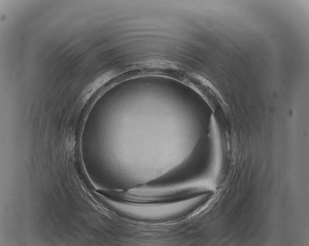 X0000083631065200702201336
