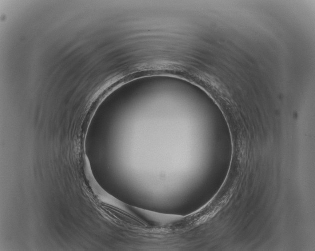 X0000083631073200702201336