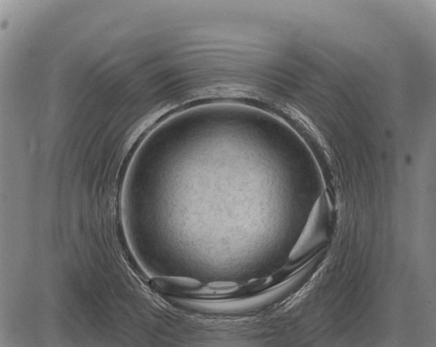 X0000083631081200702201336
