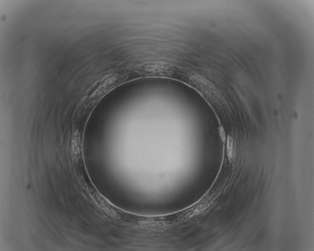 X0000083631107200702201335