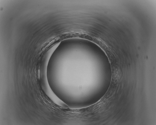 X0000083631110200702201335