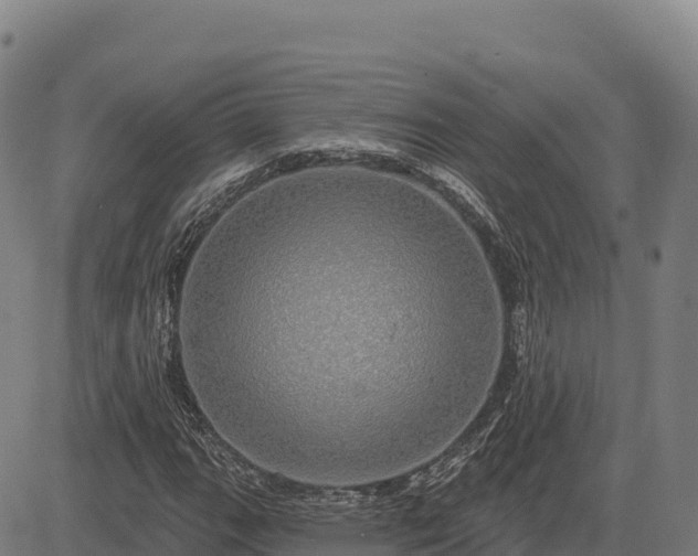 X0000083631111200702201335