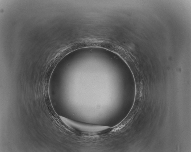 X0000083631157200702201334