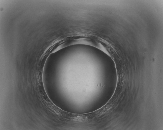 X0000083631160200702201334
