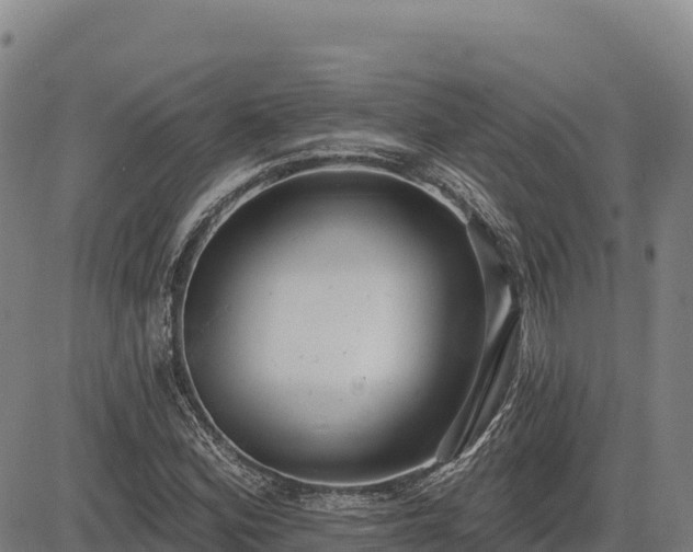 X0000083631164200702201334