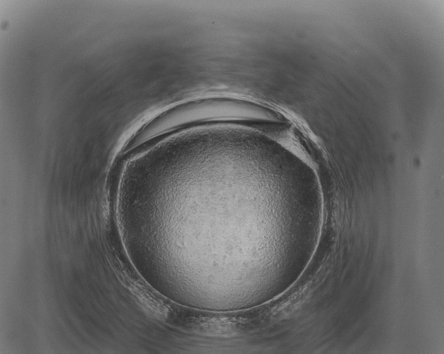 X0000083631167200702201334