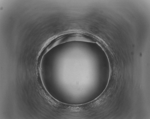 X0000083631168200702201334