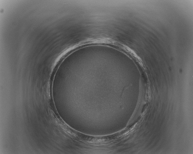 X0000083631174200702201334