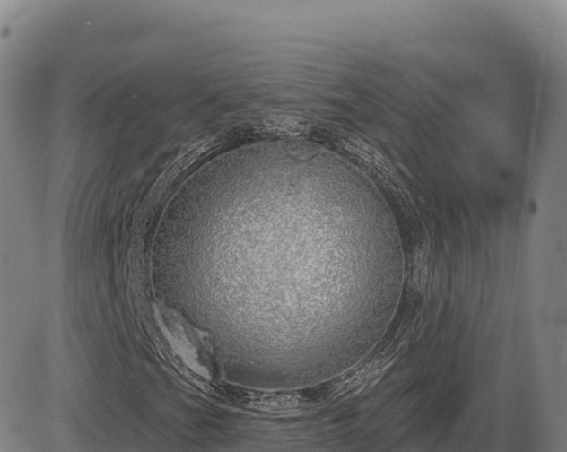 X0000083631201200702201333