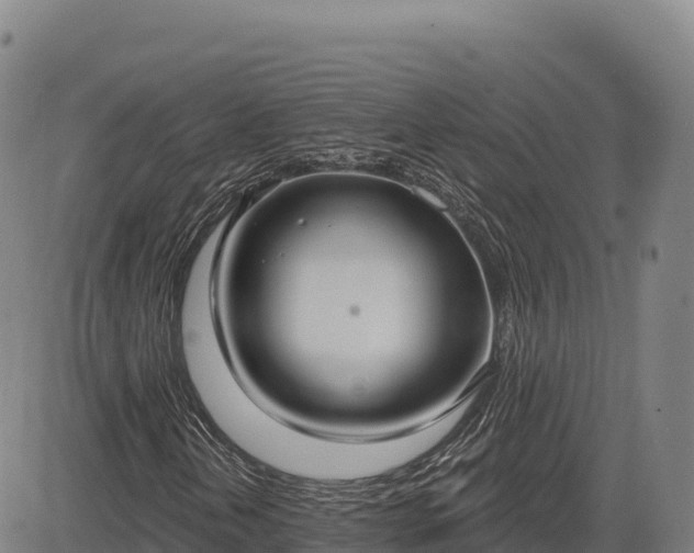 X0000083631202200702201333