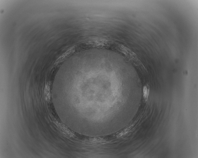 X0000083631203200702201333
