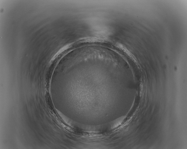 X0000083631213200702201333