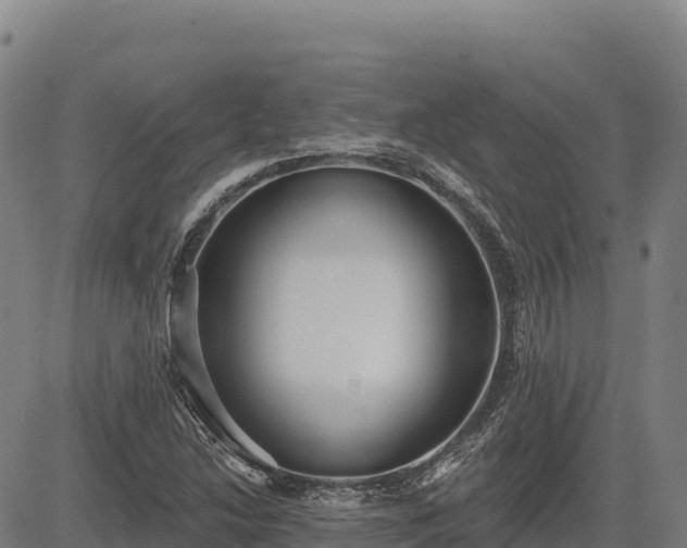 X0000083631214200702201333