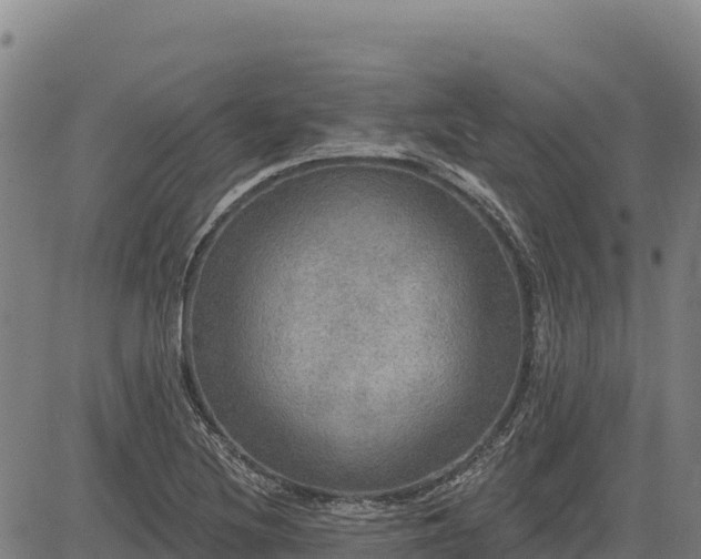 X0000083631220200702201333