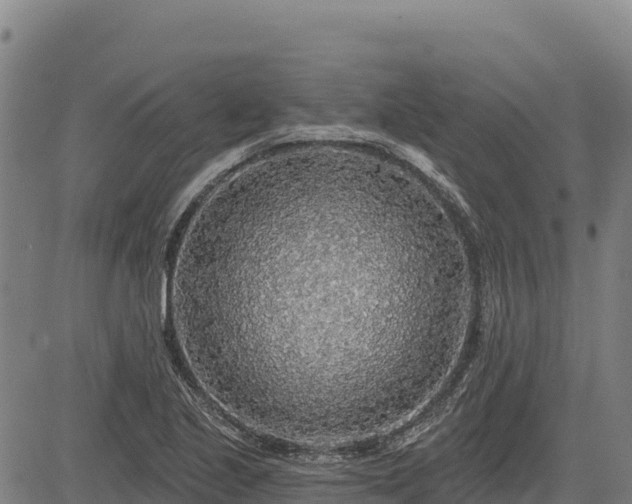 X0000083631221200702201333