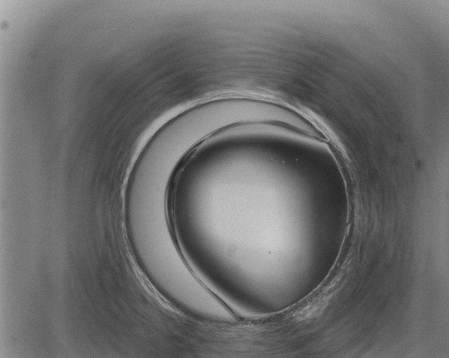 X0000083631238200702201333