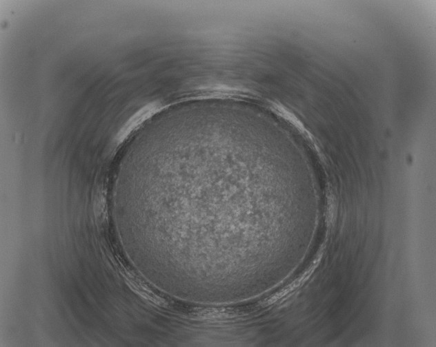 X0000083631259200702201333