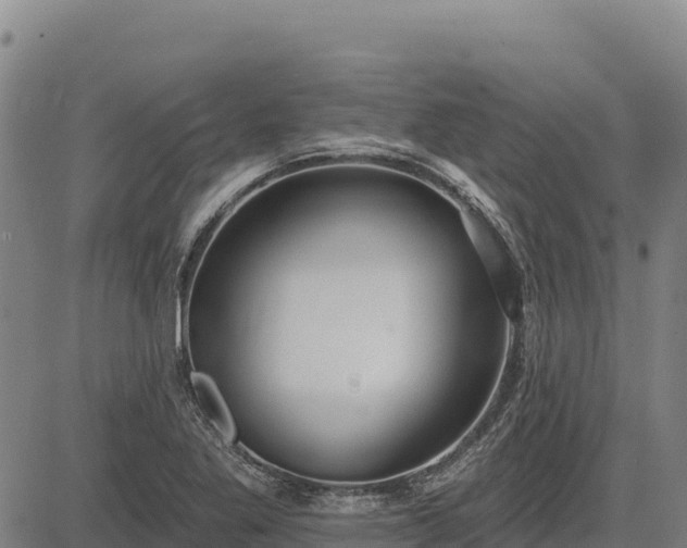 X0000083631269200702201332