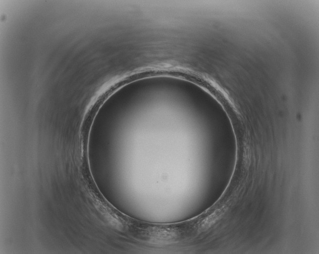 X0000083631270200702201332