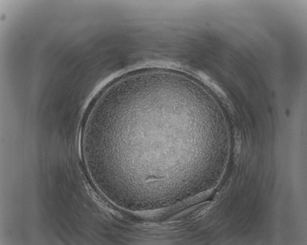 X0000083631272200702201332