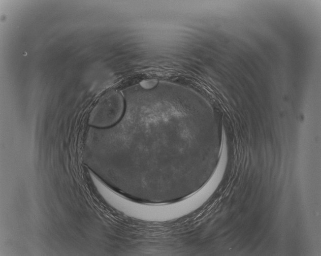 X0000083631297200702201331