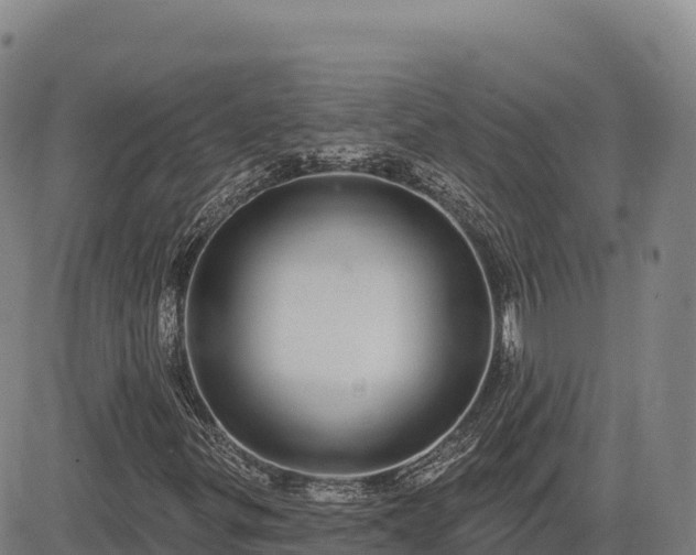 X0000083631299200702201331