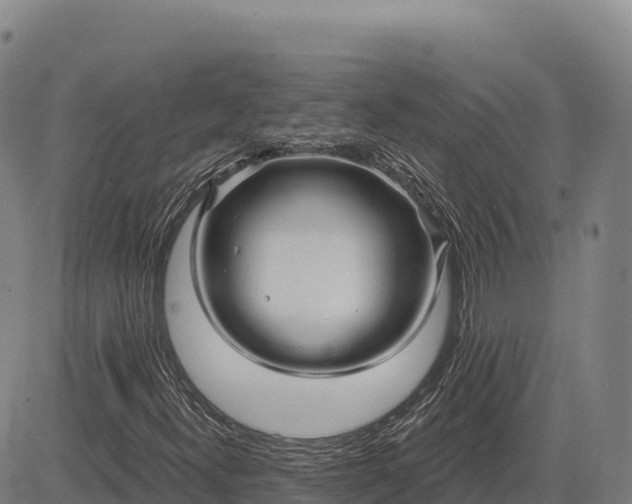 X0000083631300200702201331