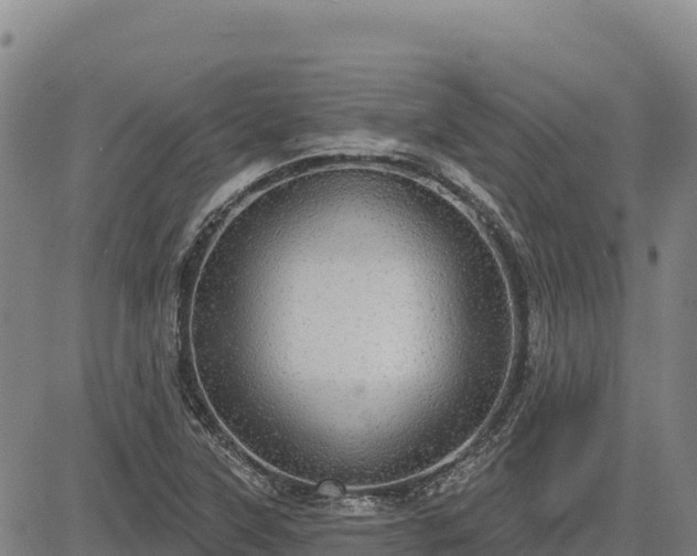 X0000083631315200702201332