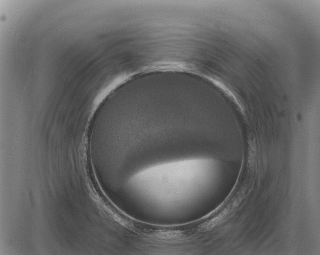 X0000083631325200702201332