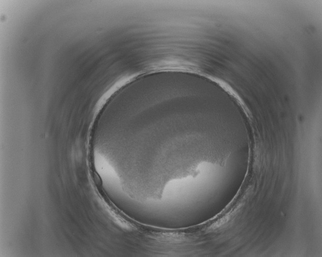 X0000083631333200702201332