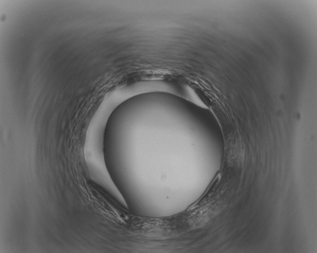 X0000083631345200702201331