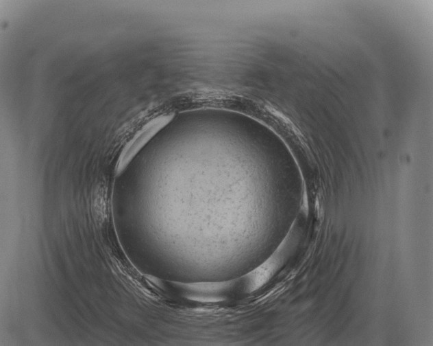 X0000083631348200702201331