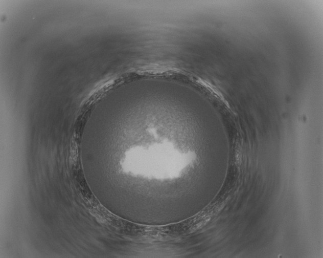 X0000083631350200702201331