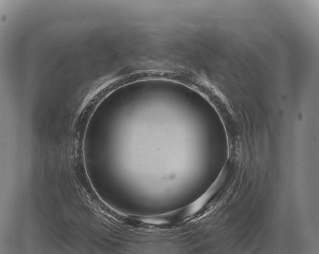 X0000083631352200702201331