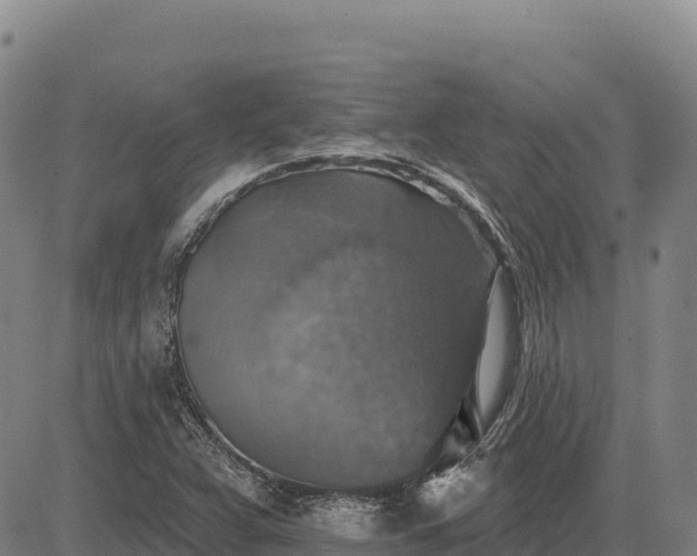 X0000083631359200702201331