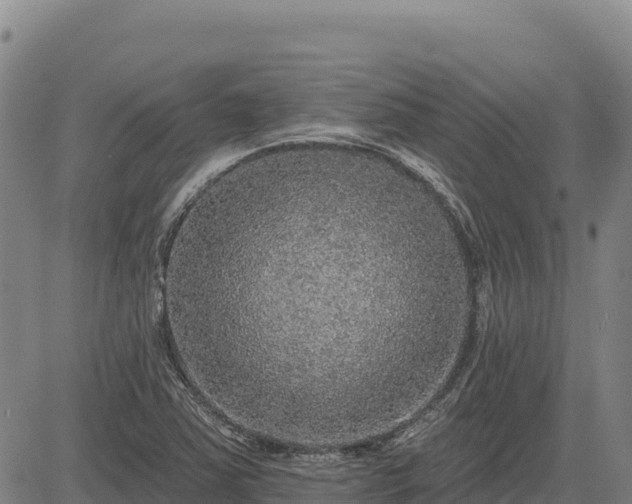 X0000083631363200702201331