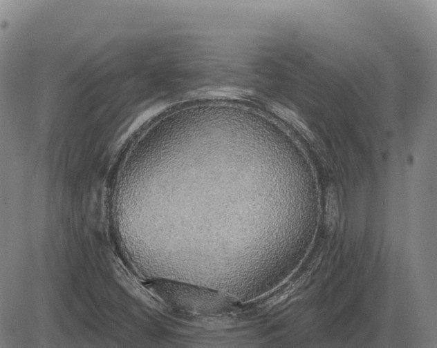 X0000083631404200702201330